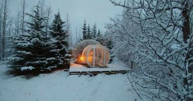 Na Islandii możesz spać w tych „bańkach” i patrzeć na las i zorzę polarną