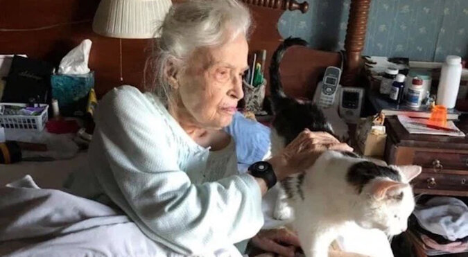 101-letnia babcia wysłała swoje dzieci do schroniska po najstarszego kota