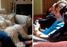 Psy, które chciały być podobne do ludzi, a to zabawne