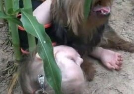 Dziewczyna wtuliła się mocno w psa i zasnęła ze zmęczenia