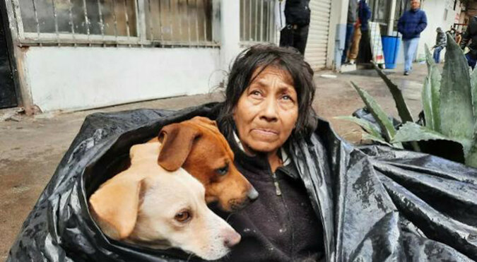Bezdomna kobieta odmówiła opuszczenia ulicy, aby nie zostawiać swoich psów
