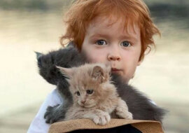 Dobroci serca: ranking znaków zodiaku o wielkim sercu