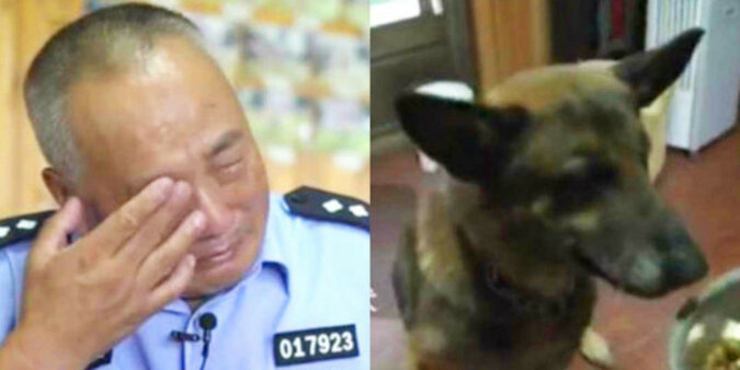Weterynarz zaproponował uspić jego psa służbowego, a on postanowił sprawić radość wszystkim psom na emeryturze