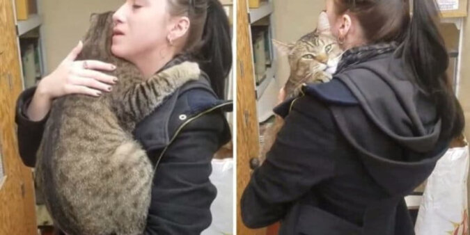 Kot ze schroniska mocno przytulił dziewczynę i już nie chciał jej puścić