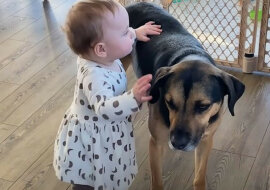 Dziecko uczy się chodzić z pomocą swojego psa