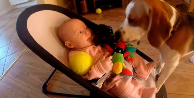 Pies przeprasza dzieciaka za zabranie mu zabawki. Jakie to urocze