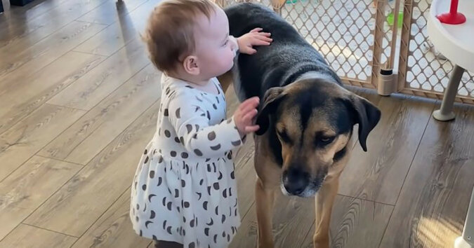 Dziecko uczy się chodzić z pomocą swojego psa