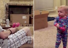 Dziecko śmieszne hańbi tatę, który zabrał jej zabawki