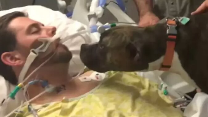 Wierny pies żegna się w szpitalu z właścicielem, którego już nigdy nie zobaczy